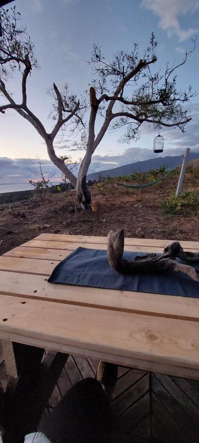 Villa Los Guirres Tazacorte Eksteriør bilde