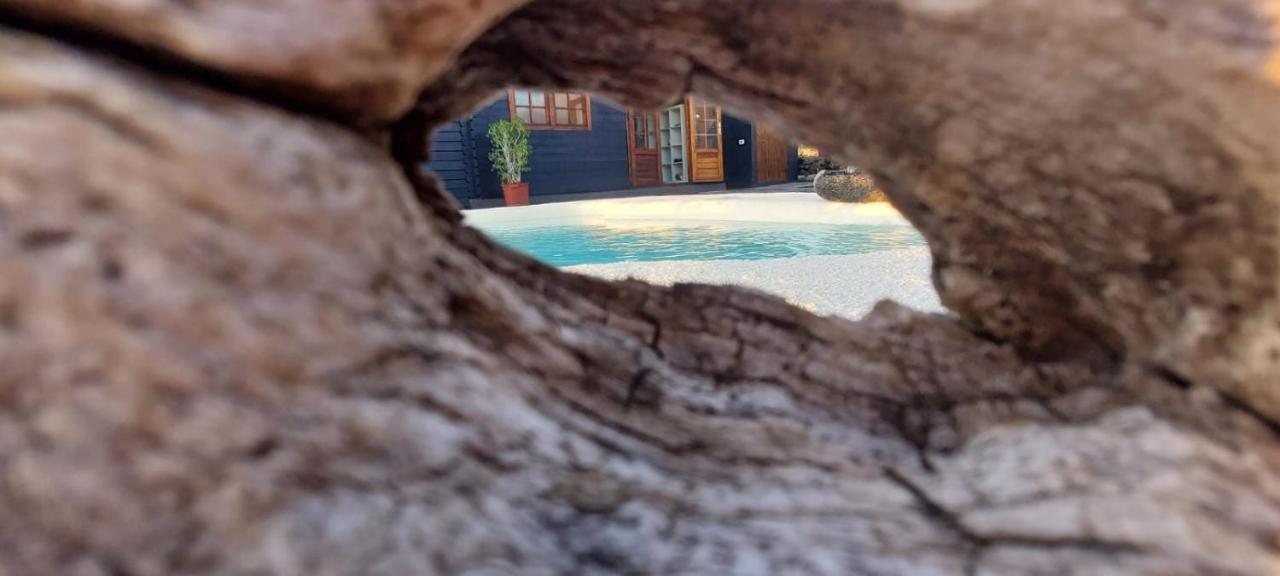 Villa Los Guirres Tazacorte Eksteriør bilde